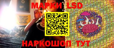 spice Кингисепп