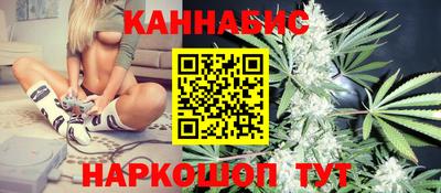spice Кингисепп