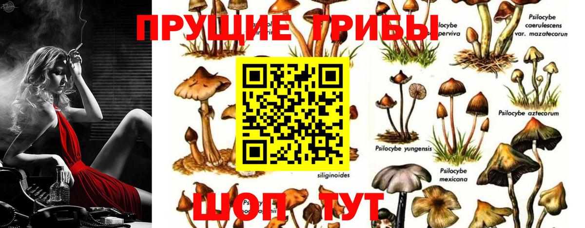 Галлюциногенные грибы MAGIC MUSHROOMS Волхов