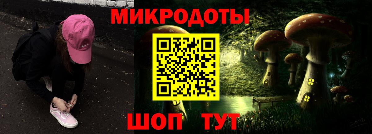 Волхов  Псилоцибиновые грибы Cubensis  где продают   Вход с VPN 